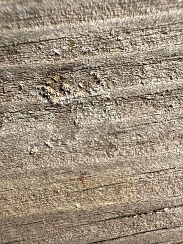 Lot réserver Anaïs