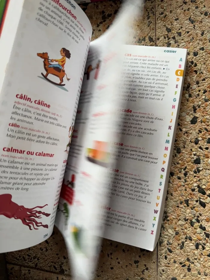 Dictionnaire auzou des débutants - photo numéro 4