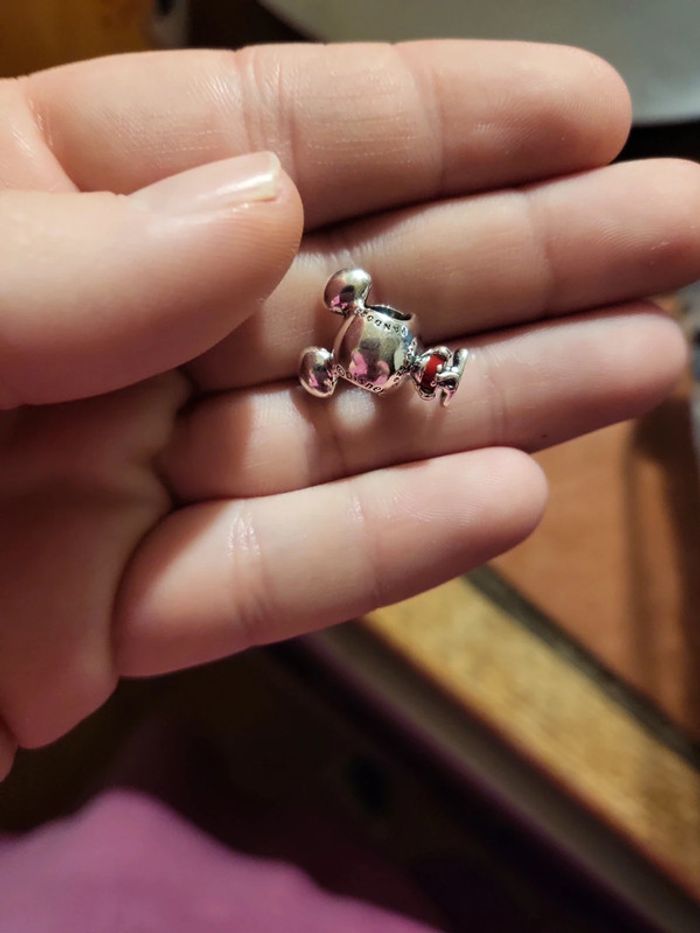 Accessoire - photo numéro 2