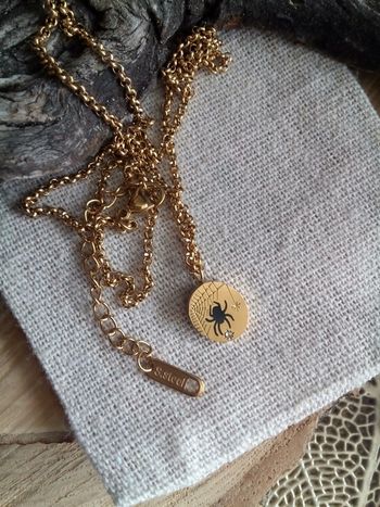 Collier chaîne médaillon araignée