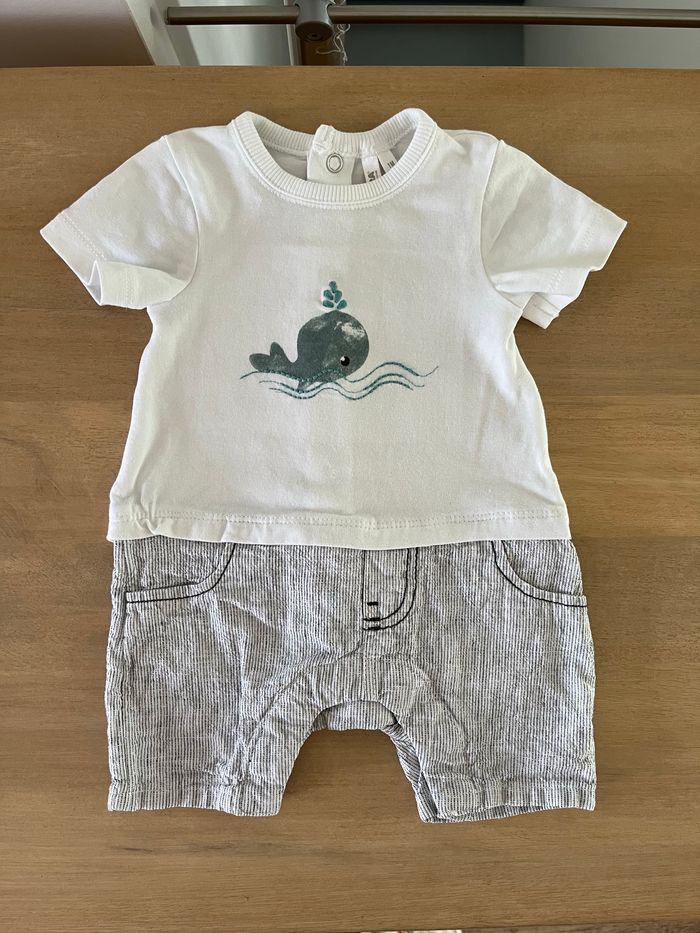 Combishort baleine Orchestra