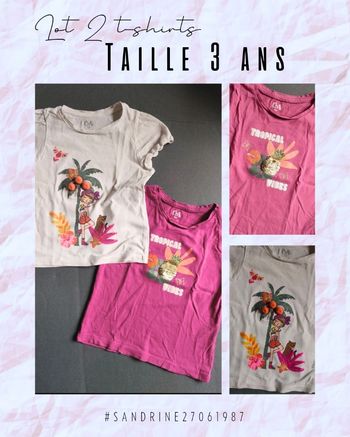 Lot 2 t-shirts 🦄 Taille 3 ans
