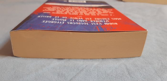 Livre Stranger Things Rebel Robin tome 2 - photo numéro 5