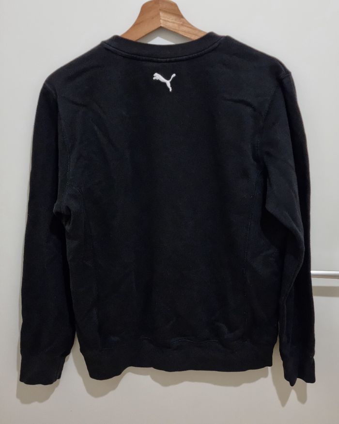 Sweet Puma - photo numéro 2