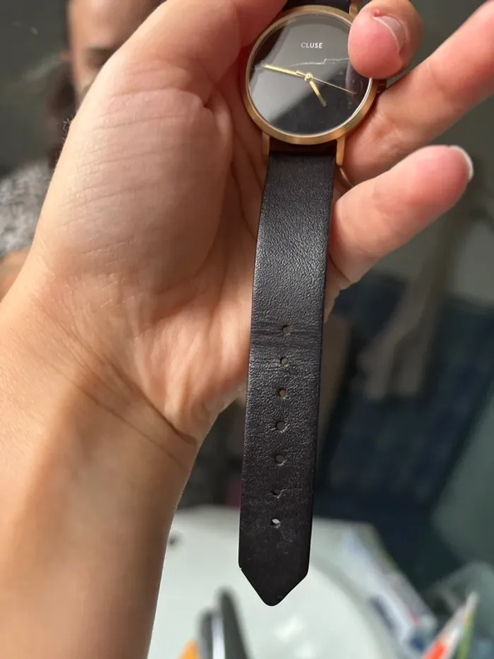 Montre cluse - La roche - photo numéro 5