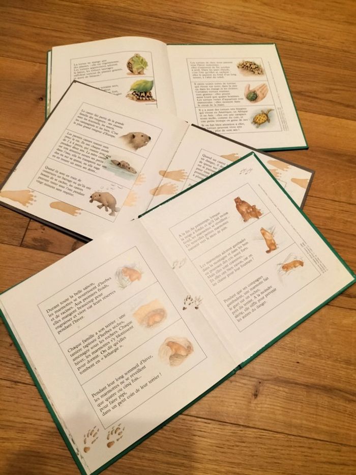 Lot de 3 livres À toutes pattes - photo numéro 4