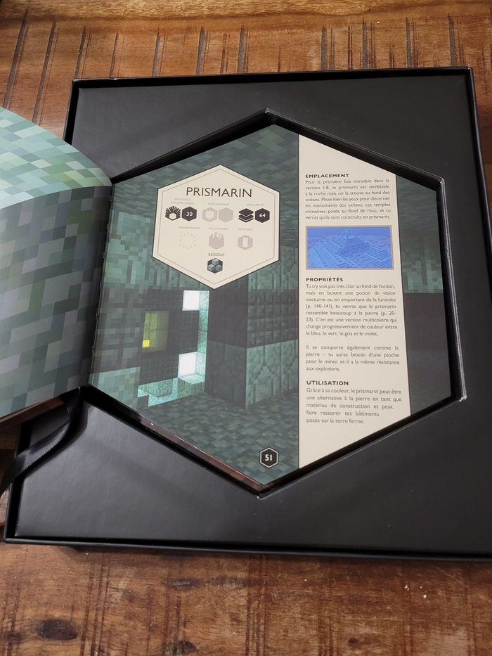 Livre minecraft - photo numéro 2