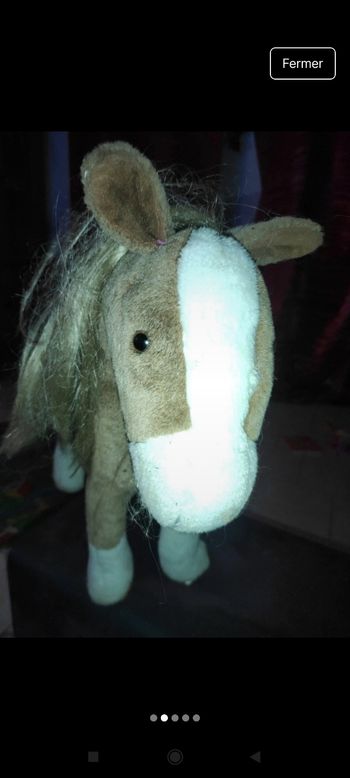 Très beau cheval j9