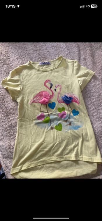 T shirt 10 ans flamand rose 