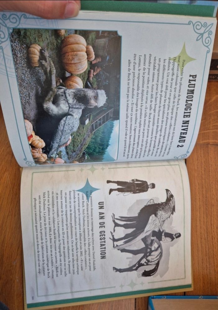 Livre Harry Potter - Buck - photo numéro 3