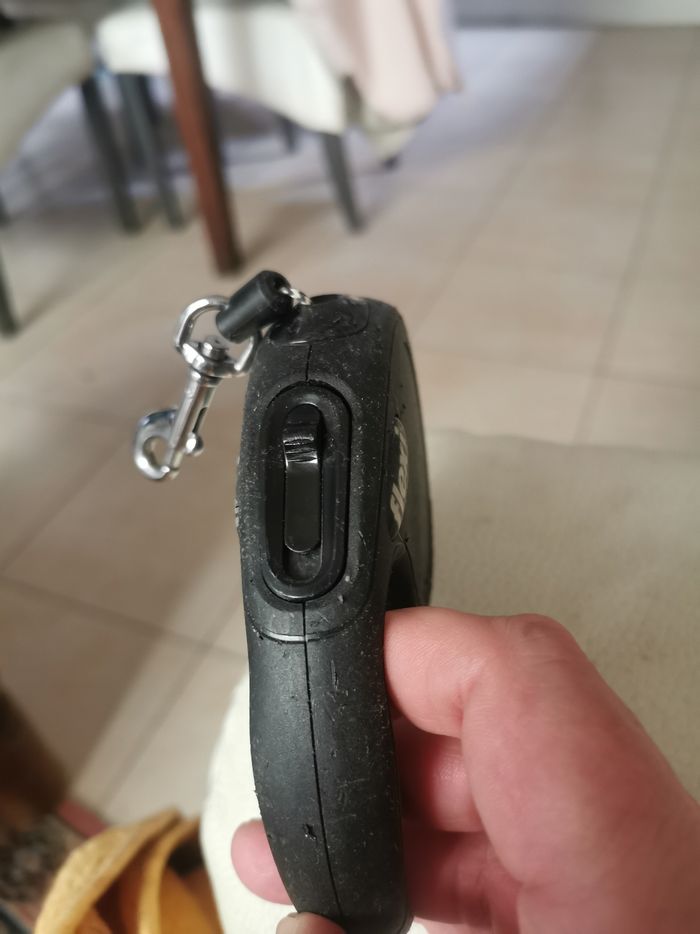 Laisse pour petits chiens Flexi retractable - photo numéro 3