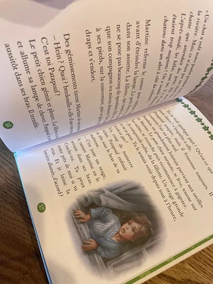 Livre Martine et le chaton vagabond - photo numéro 7