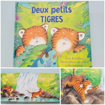 Livre en relief à toucher 🐅 Deux petits Tigres 🐅 67