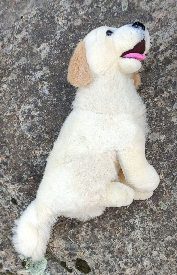 Chien en peluche - photo numéro 2