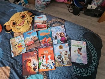 Lot 9 livres Disney