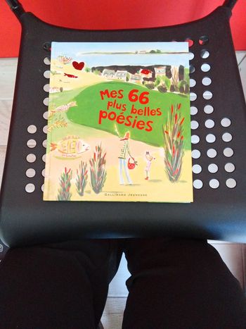 Livre, Mes 66 plus belles poesies