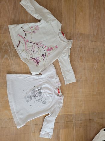 2 tee shirt manche longue fille