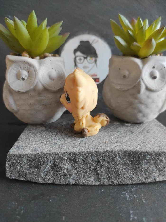 Littlest Petshop Pet Shop LPS chien chow chow hasbro 662 dog #geektradelpschien - photo numéro 3