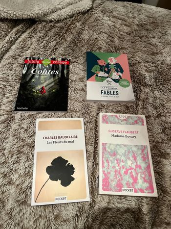 Lot livres littérature collège