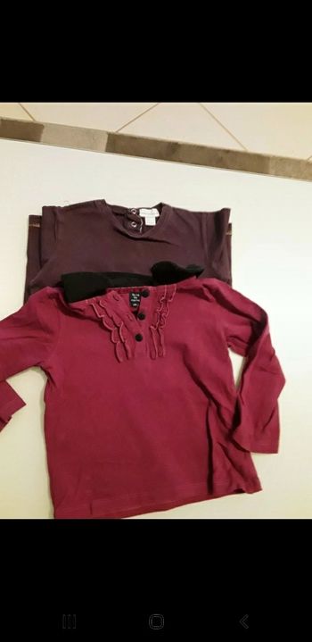 2 Tee-shirt manches longues 24 mois