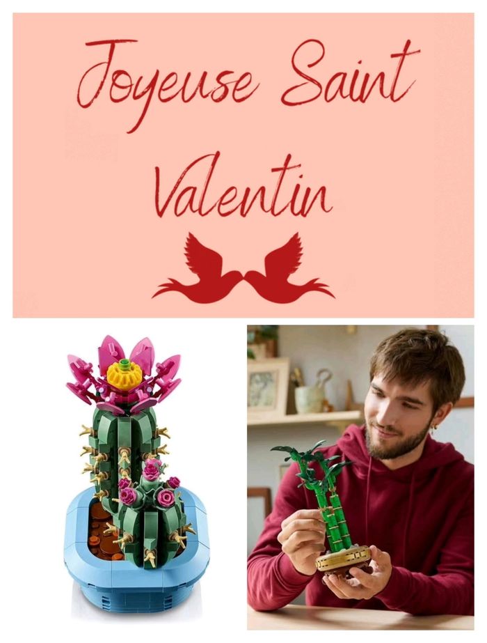 Lego bambou et cactus fleuri - photo numéro 2