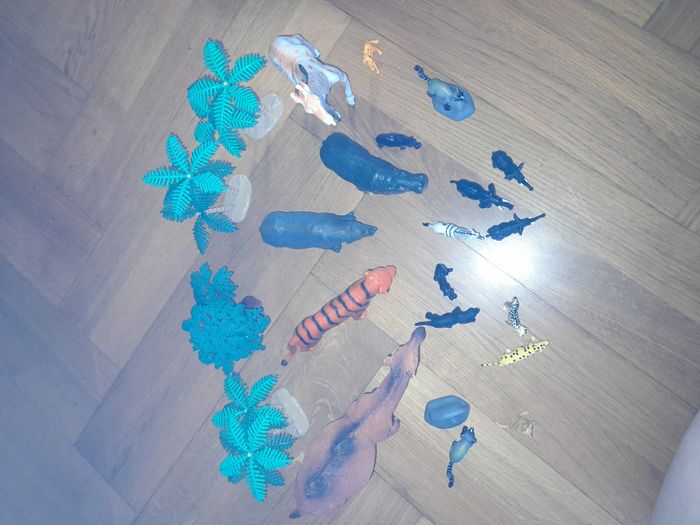 Animaux du Zoo - photo numéro 2