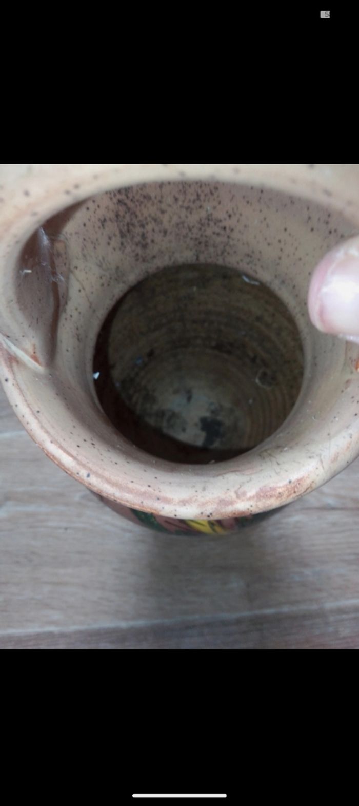 Verseur jardin - photo numéro 5