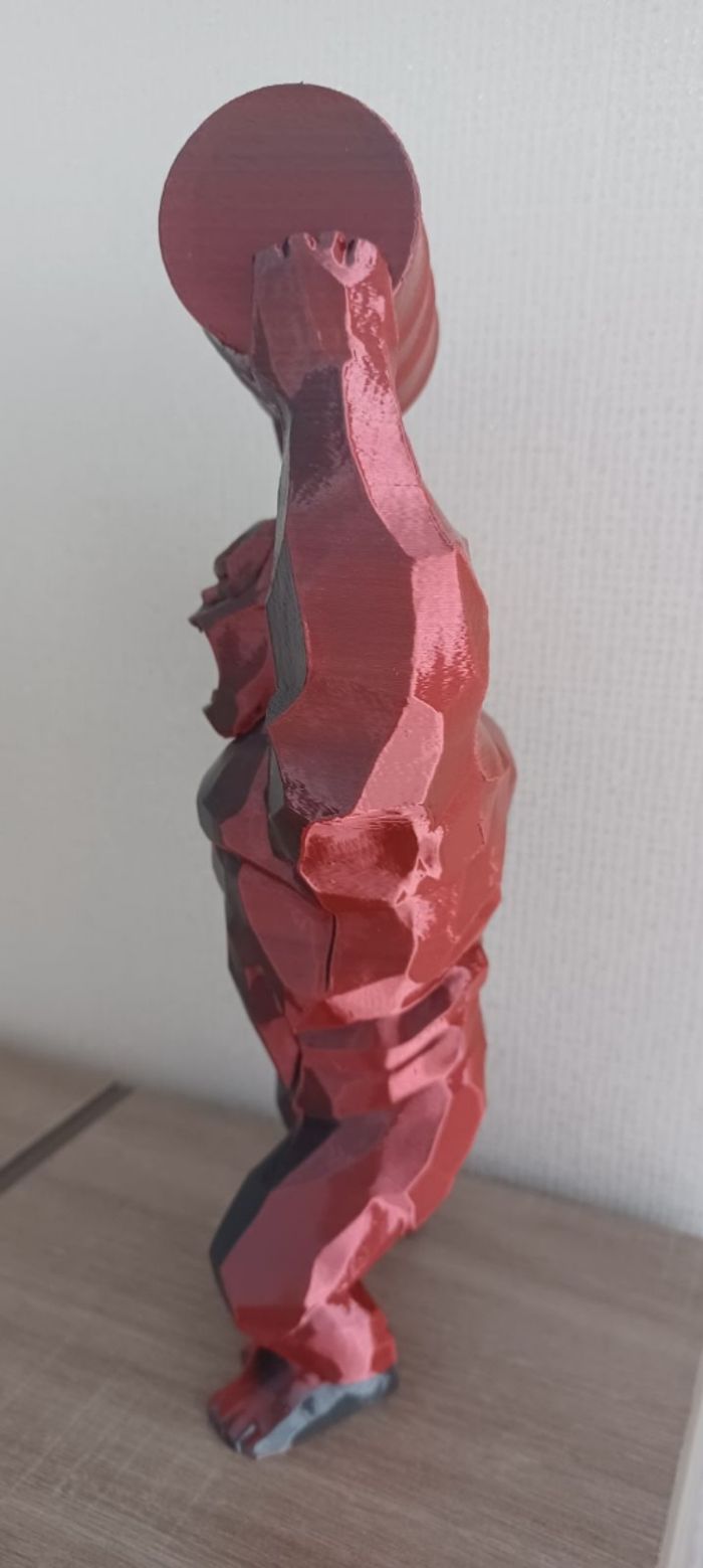 Gorille - photo numéro 4