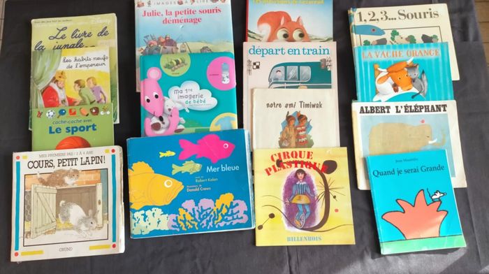 Lot de 15 livres enfants