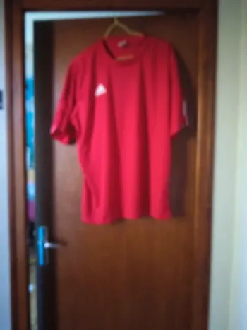 Tee shirt