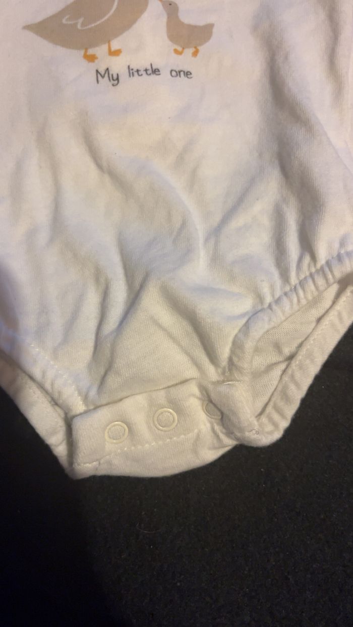 Bodie 0 mois - photo numéro 3