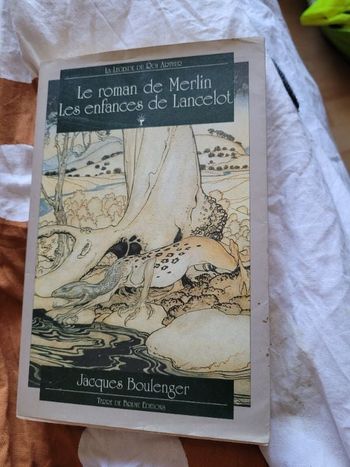 Le roman de Merlin l enchanteur les enfances de Lancelot