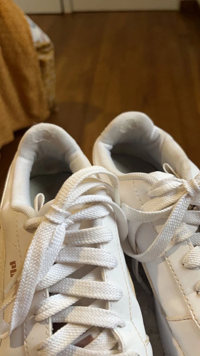 Paire puma - photo numéro 2