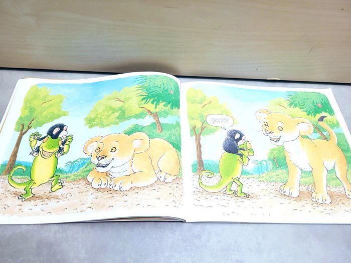 🌺 Livre (école des loisirs) : Grand - photo numéro 2