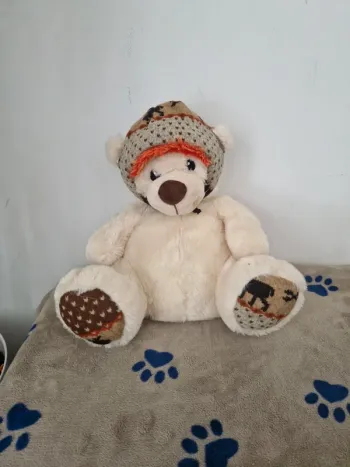 Ours en peluche