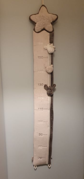 Toise murale Noukie's