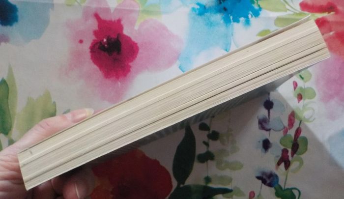 Monsieur Zéro de Jim Thompson Ed. Folio Policier - photo numéro 4