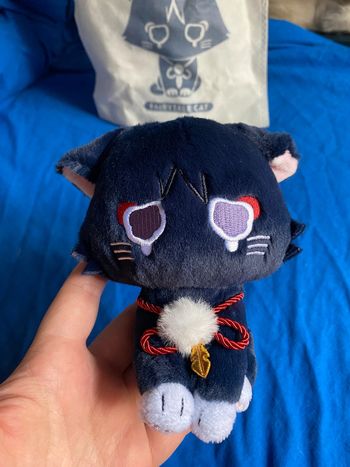 Scarameow plushie (sad version)