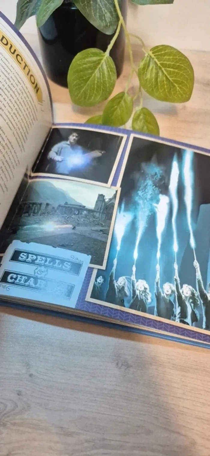 Livre harry potter - photo numéro 6