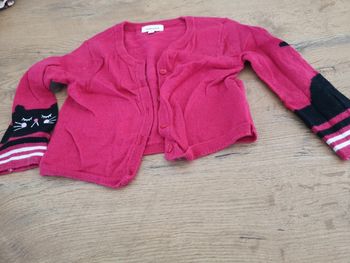 Gilet catimini rose et noir 18m