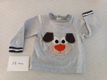 Pull chien 18 mois