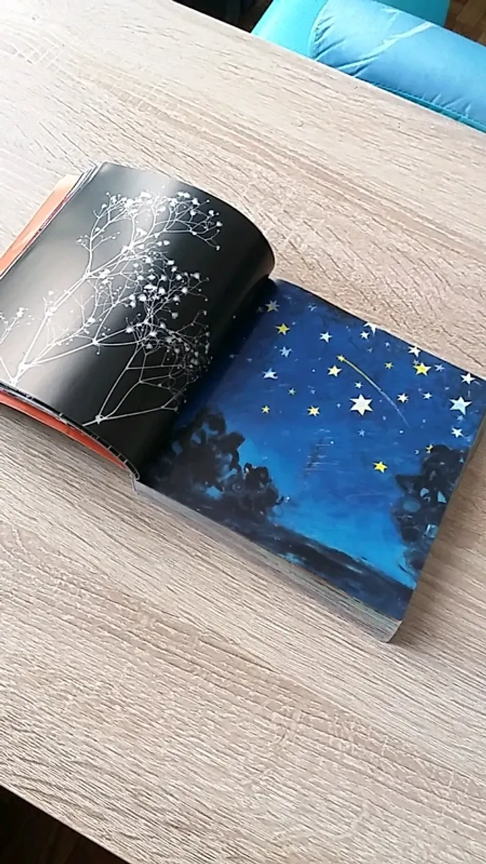 Livre d'images sans texte " tout un monde " - photo numéro 2
