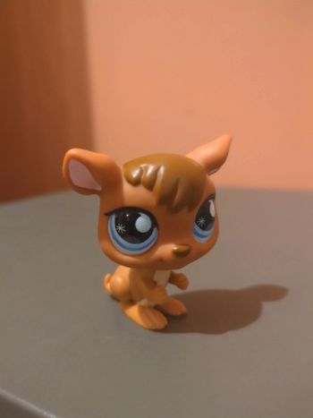 Littlest Petshop Lps Kangourou