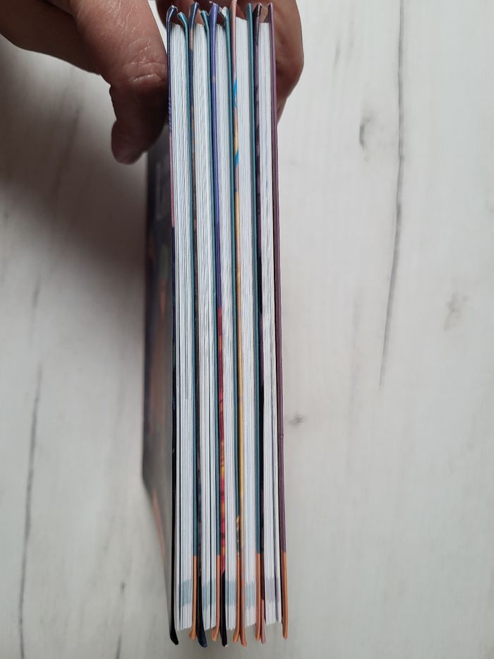 Le maitre des licornes - photo numéro 5