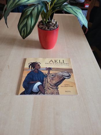 Akli prince du désert un conte du pays des sables