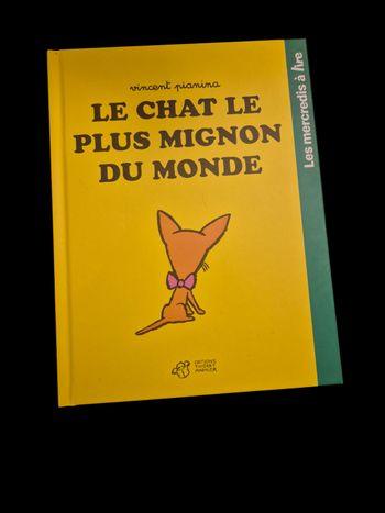 Le chat le plus mignon du monde - Vincent Pianina - Thierry Magnier - Album chaton mystère