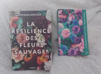 Lot de 2 livres