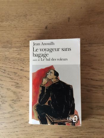 Livre « le voyageur sans bagage »