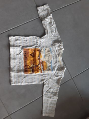 Tee shirt manches longues garçon taille 2 ans