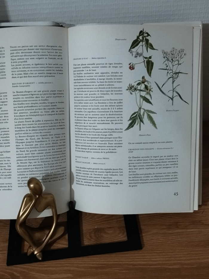 Ouvrage Flore d'Europe édition Gründ 1975 - photo numéro 5